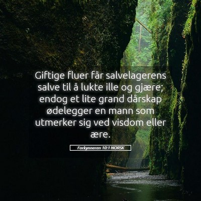 Picture 05 - Forkynneren 10:1 NORSK - Giftige fluer får salvelagerens salve til å - Bible Verse Picture