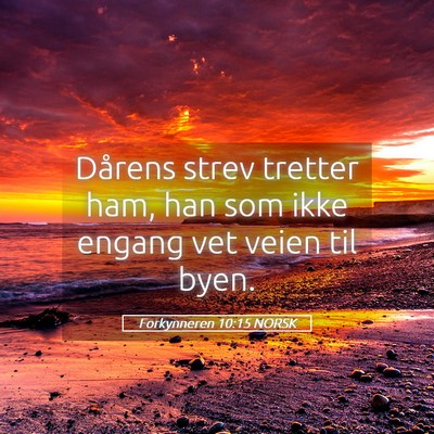 Picture 05 - Forkynneren 10:15 NORSK - Dårens strev tretter ham, han som ikke engang - Bible Verse Picture