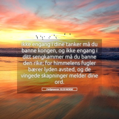 Picture 05 - Forkynneren 10:20 NORSK - Ikke engang i dine tanker må du banne kongen, og - Bible Verse Picture