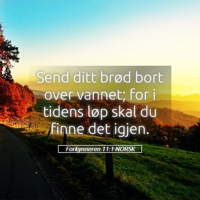 Picture 05 - Forkynneren 11:1 NORSK - Send ditt brød bort over vannet; for i tidens - Bible Verse Picture