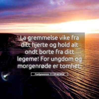 Picture 05 - Forkynneren 11:10 NORSK - La gremmelse vike fra ditt hjerte og hold alt - Bible Verse Picture