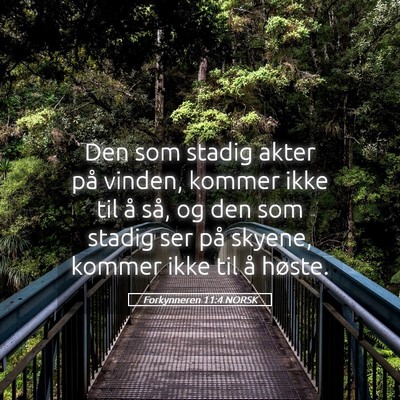Picture 05 - Forkynneren 11:4 NORSK - Den som stadig akter på vinden, kommer ikke til - Bible Verse Picture