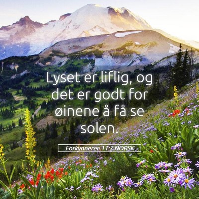 Picture 05 - Forkynneren 11:7 NORSK - Lyset er liflig, og det er godt for øinene å - Bible Verse Picture