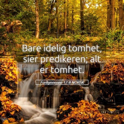 Picture 05 - Forkynneren 12:8 NORSK - Bare idelig tomhet, sier predikeren; alt er - Bible Verse Picture