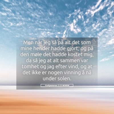 Picture 05 - Forkynneren 2:11 NORSK - Men når jeg så på alt det som mine hender - Bible Verse Picture
