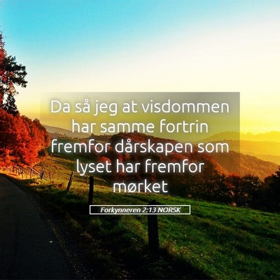 Picture 05 - Forkynneren 2:13 NORSK - Da så jeg at visdommen har samme fortrin fremfor - Bible Verse Picture