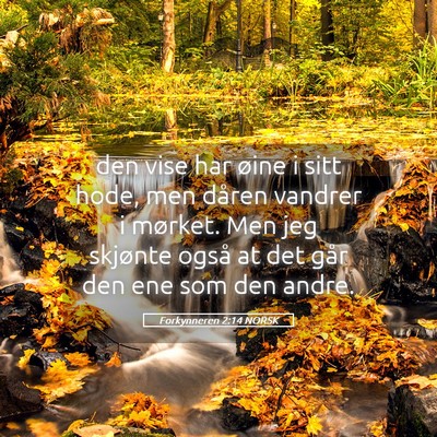 Picture 05 - Forkynneren 2:14 NORSK - den vise har øine i sitt hode, men dåren - Bible Verse Picture