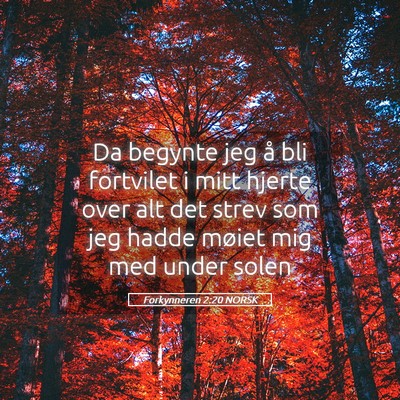 Picture 05 - Forkynneren 2:20 NORSK - Da begynte jeg å bli fortvilet i mitt hjerte - Bible Verse Picture