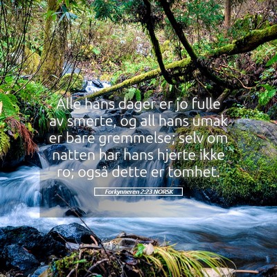 Picture 05 - Forkynneren 2:23 NORSK - Alle hans dager er jo fulle av smerte, og all - Bible Verse Picture