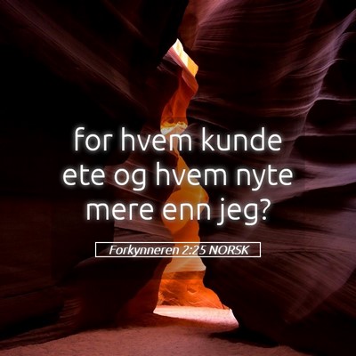 Picture 05 - Forkynneren 2:25 NORSK - for hvem kunde ete og hvem nyte mere enn - Bible Verse Picture