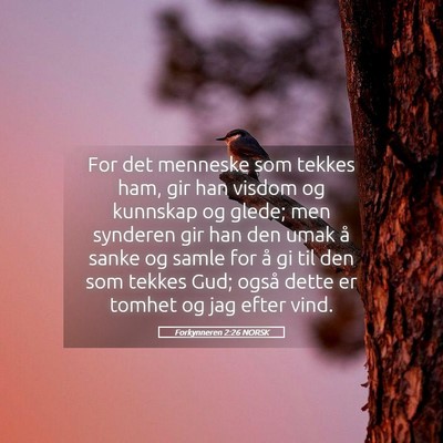 Picture 05 - Forkynneren 2:26 NORSK - For det menneske som tekkes ham, gir han visdom - Bible Verse Picture