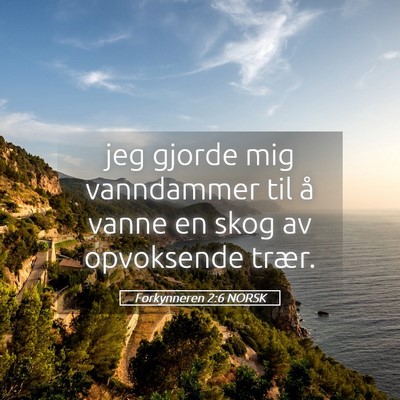 Picture 05 - Forkynneren 2:6 NORSK - jeg gjorde mig vanndammer til å vanne en skog av - Bible Verse Picture
