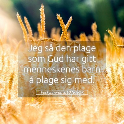 Picture 05 - Forkynneren 3:10 NORSK - Jeg så den plage som Gud har gitt menneskenes - Bible Verse Picture