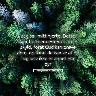 Picture 05 - Forkynneren 3:18 NORSK - Jeg sa i mitt hjerte: Dette skjer for menneskenes - Bible Verse Picture