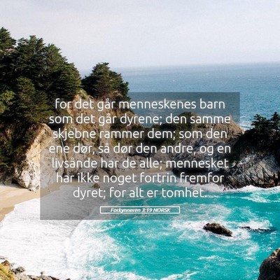Picture 05 - Forkynneren 3:19 NORSK - for det går menneskenes barn som det går - Bible Verse Picture