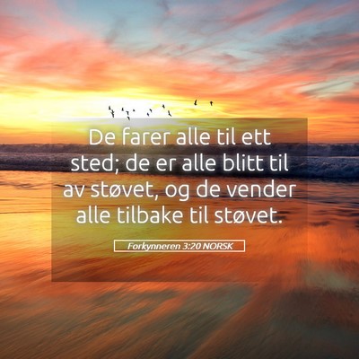 Picture 05 - Forkynneren 3:20 NORSK - De farer alle til ett sted; de er alle blitt til - Bible Verse Picture