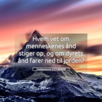 Picture 05 - Forkynneren 3:21 NORSK - Hvem vet om menneskenes ånd stiger op, og om - Bible Verse Picture