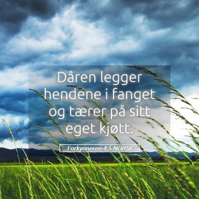Picture 05 - Forkynneren 4:5 NORSK - Dåren legger hendene i fanget og tærer på sitt - Bible Verse Picture