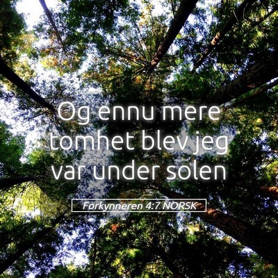 Picture 05 - Forkynneren 4:7 NORSK - Og ennu mere tomhet blev jeg var under - Bible Verse Picture
