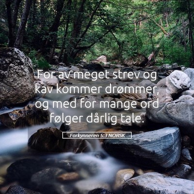 Picture 05 - Forkynneren 5:3 NORSK - For av meget strev og kav kommer drømmer, og med - Bible Verse Picture