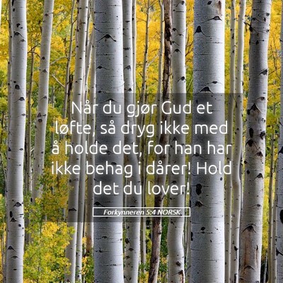 Picture 05 - Forkynneren 5:4 NORSK - Når du gjør Gud et løfte, så dryg ikke med å - Bible Verse Picture