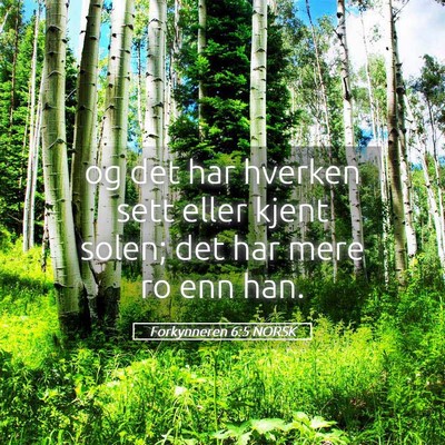 Picture 05 - Forkynneren 6:5 NORSK - og det har hverken sett eller kjent solen; det - Bible Verse Picture