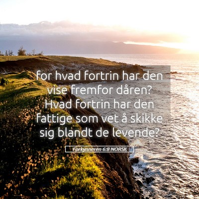 Picture 05 - Forkynneren 6:8 NORSK - for hvad fortrin har den vise fremfor dåren? - Bible Verse Picture