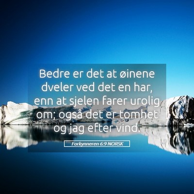 Picture 05 - Forkynneren 6:9 NORSK - Bedre er det at øinene dveler ved det en har, - Bible Verse Picture