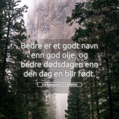 Picture 05 - Forkynneren 7:1 NORSK - Bedre er et godt navn enn god olje, og bedre - Bible Verse Picture