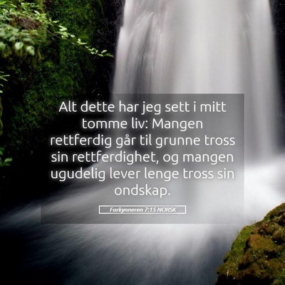 Picture 05 - Forkynneren 7:15 NORSK - Alt dette har jeg sett i mitt tomme liv: Mangen - Bible Verse Picture