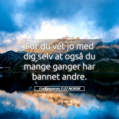 Picture 05 - Forkynneren 7:22 NORSK - For du vet jo med dig selv at også du mange - Bible Verse Picture
