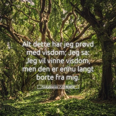 Picture 05 - Forkynneren 7:23 NORSK - Alt dette har jeg prøvd med visdom; Jeg sa: Jeg - Bible Verse Picture
