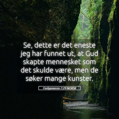 Picture 05 - Forkynneren 7:29 NORSK - Se, dette er det eneste jeg har funnet ut, at Gud - Bible Verse Picture