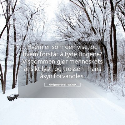 Picture 05 - Forkynneren 8:1 NORSK - Hvem er som den vise, og hvem forstår å tyde - Bible Verse Picture