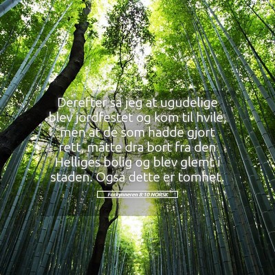 Picture 05 - Forkynneren 8:10 NORSK - Derefter så jeg at ugudelige blev jordfestet og - Bible Verse Picture