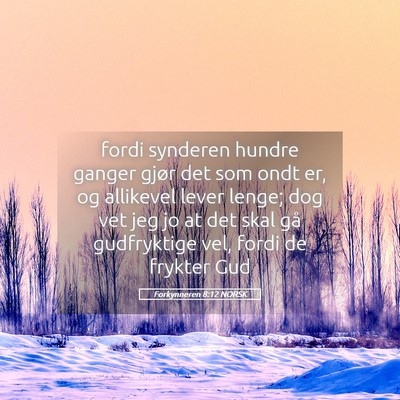 Picture 05 - Forkynneren 8:12 NORSK - fordi synderen hundre ganger gjør det som ondt - Bible Verse Picture