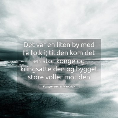 Picture 05 - Forkynneren 9:14 NORSK - Det var en liten by med få folk i; til den kom - Bible Verse Picture