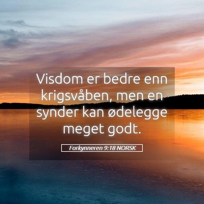 Picture 05 - Forkynneren 9:18 NORSK - Visdom er bedre enn krigsvåben, men en synder - Bible Verse Picture