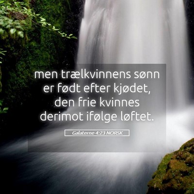 Picture 05 - Galaterne 4:23 NORSK - men trælkvinnens sønn er født efter kjødet, - Bible Verse Picture