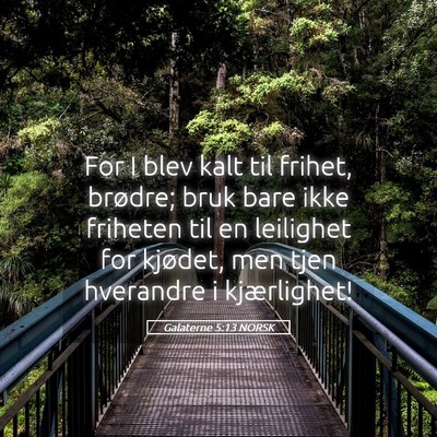Picture 05 - Galaterne 5:13 NORSK - For I blev kalt til frihet, brødre; bruk bare - Bible Verse Picture