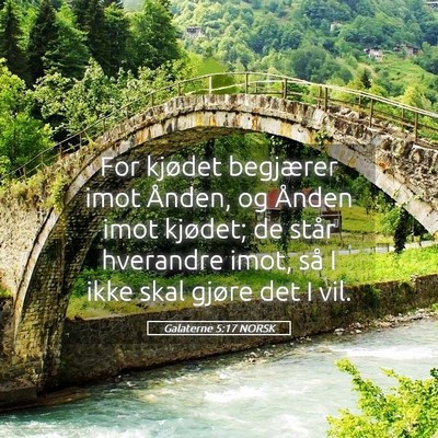 Picture 05 - Galaterne 5:17 NORSK - For kjødet begjærer imot Ånden, og Ånden imot - Bible Verse Picture