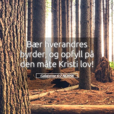 Picture 05 - Galaterne 6:2 NORSK - Bær hverandres byrder, og opfyll på den måte - Bible Verse Picture