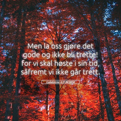 Picture 05 - Galaterne 6:9 NORSK - Men la oss gjøre det gode og ikke bli trette! - Bible Verse Picture