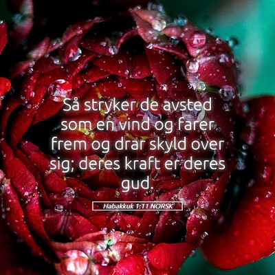 Picture 05 - Habakkuk 1:11 NORSK - Så stryker de avsted som en vind og farer frem - Bible Verse Picture