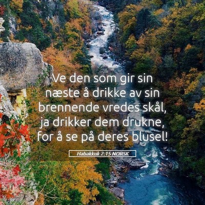 Picture 05 - Habakkuk 2:15 NORSK - Ve den som gir sin næste å drikke av sin - Bible Verse Picture