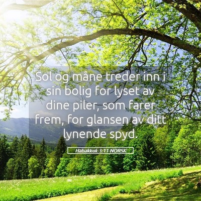 Picture 05 - Habakkuk 3:11 NORSK - Sol og måne treder inn i sin bolig for lyset av - Bible Verse Picture
