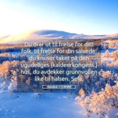 Picture 05 - Habakkuk 3:13 NORSK - Du drar ut til frelse for ditt folk, til frelse - Bible Verse Picture