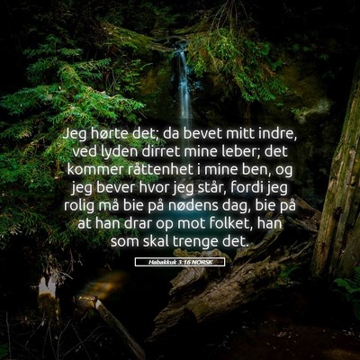 Picture 05 - Habakkuk 3:16 NORSK - Jeg hørte det; da bevet mitt indre, ved lyden - Bible Verse Picture