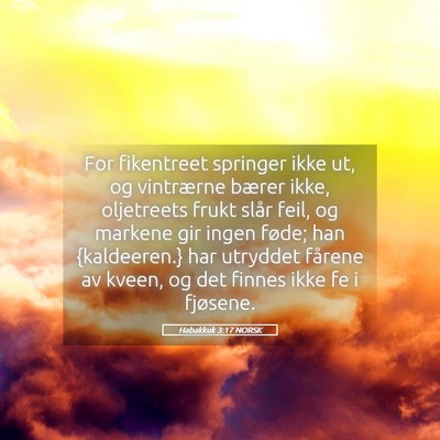 Picture 05 - Habakkuk 3:17 NORSK - For fikentreet springer ikke ut, og vintrærne - Bible Verse Picture