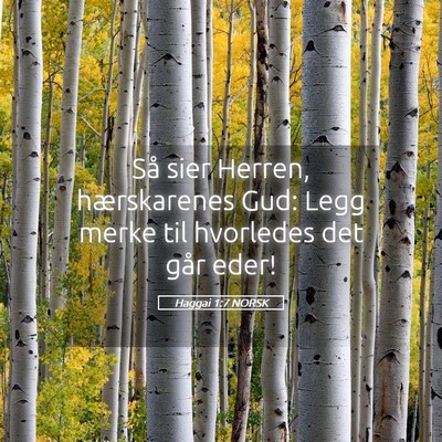 Picture 05 - Haggai 1:7 NORSK - Så sier Herren, hærskarenes Gud: Legg merke til - Bible Verse Picture